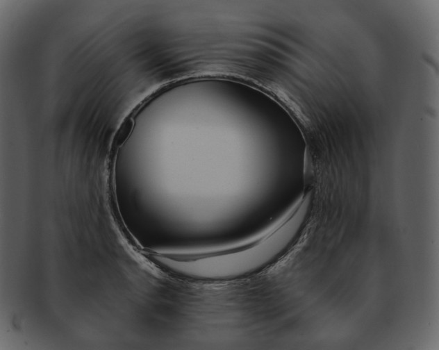 X0000092311134200710051233