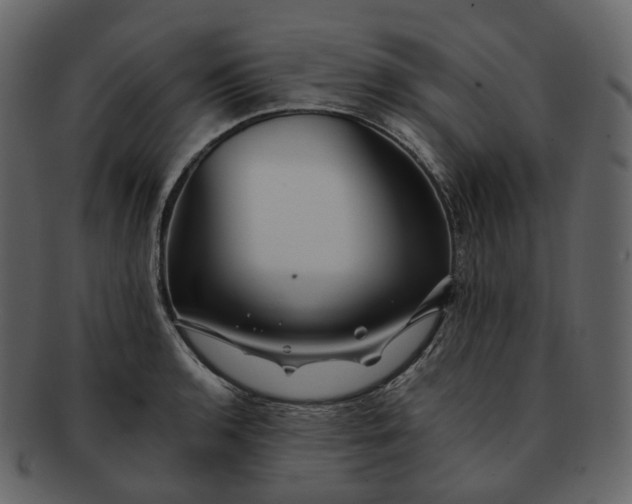 X0000092311136200710051233