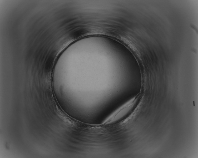 X0000092311137200710051234