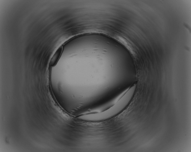 X0000092311140200710051234