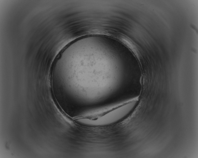 X0000092311141200710051234