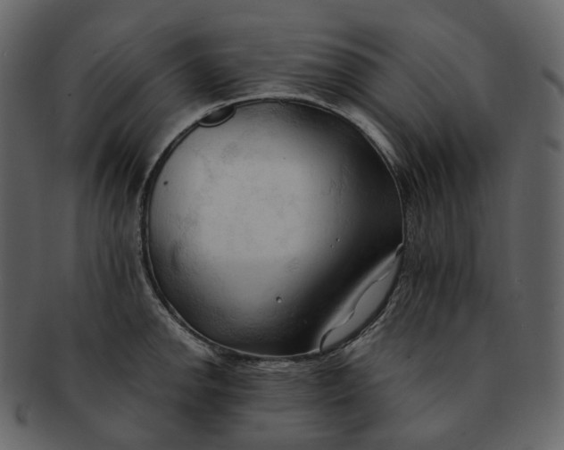 X0000092311142200710051234