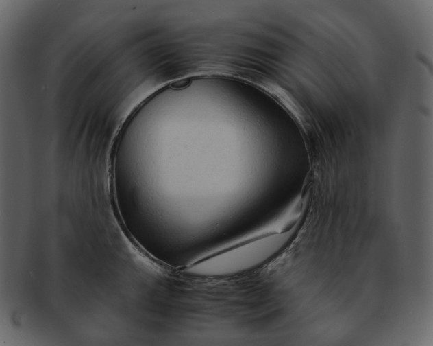 X0000092311143200710051234