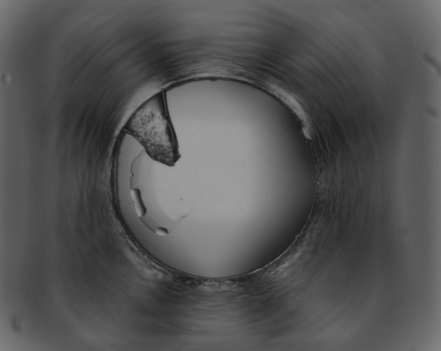 X0000092311146200710051234