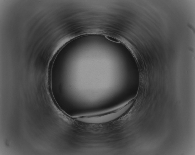 X0000092311147200710051234