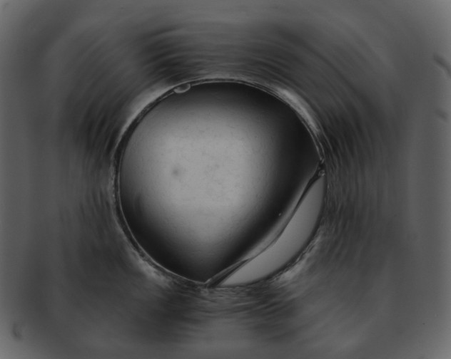 X0000092311149200710051234