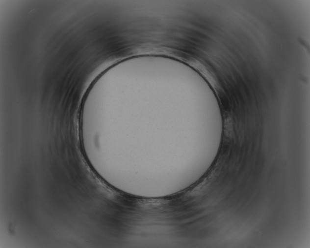 X0000092311150200710051234