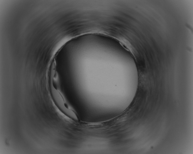 X0000092311151200710051234