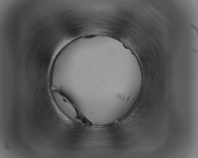 X0000092311152200710051234