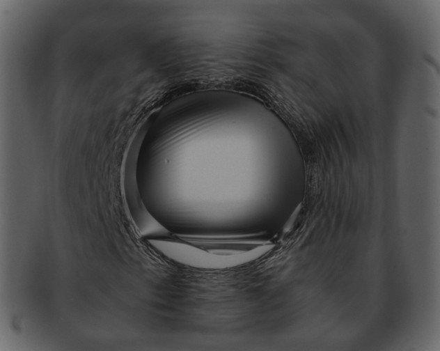 X0000092311153200710051233
