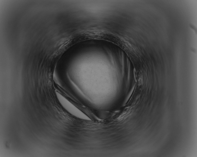 X0000092311156200710051233