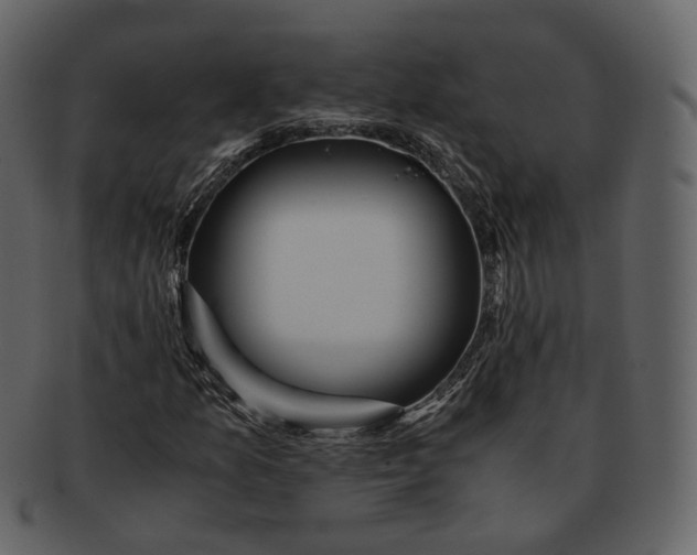 X0000092311157200710051233