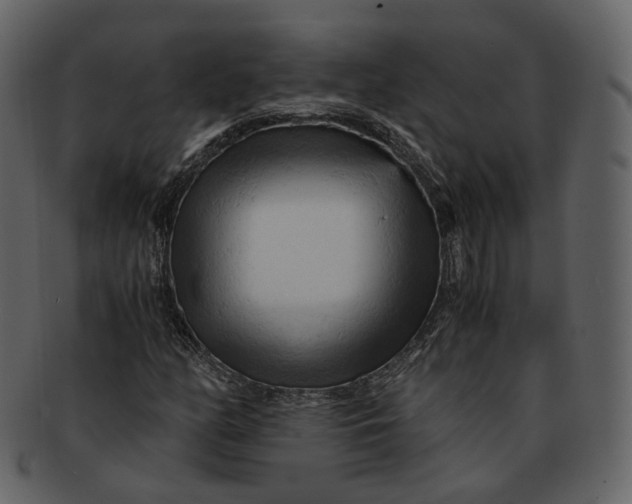 X0000092311158200710051233