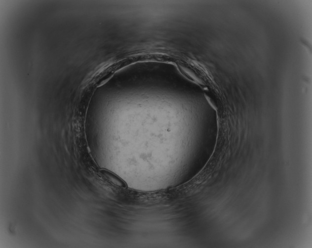 X0000092311159200710051233