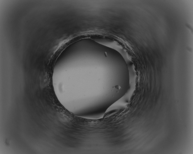 X0000092311160200710051233