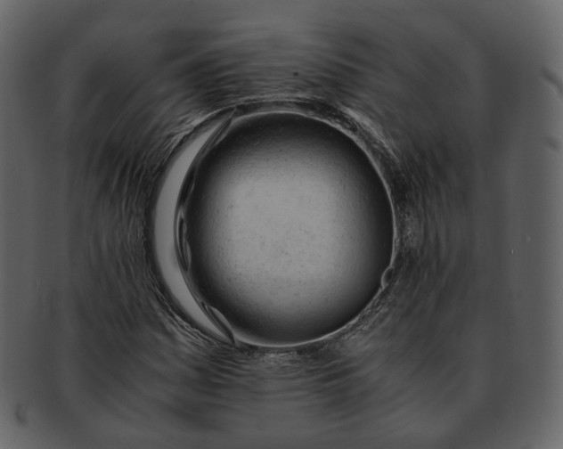 X0000092311161200710051233