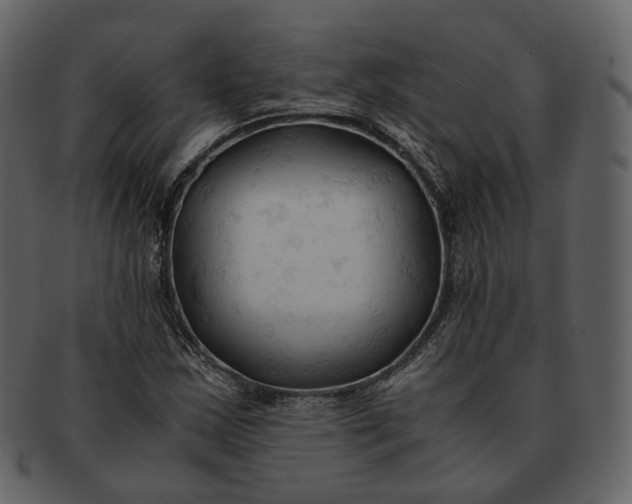 X0000092311163200710051233