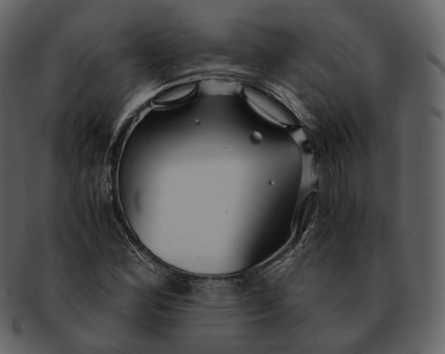 X0000092311164200710051233