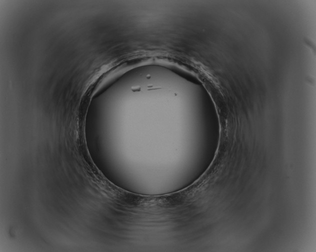 X0000092311165200710051233