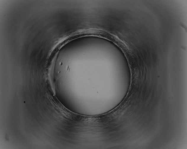 X0000092311166200710051233