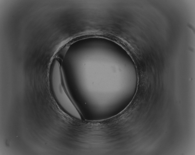 X0000092311168200710051233