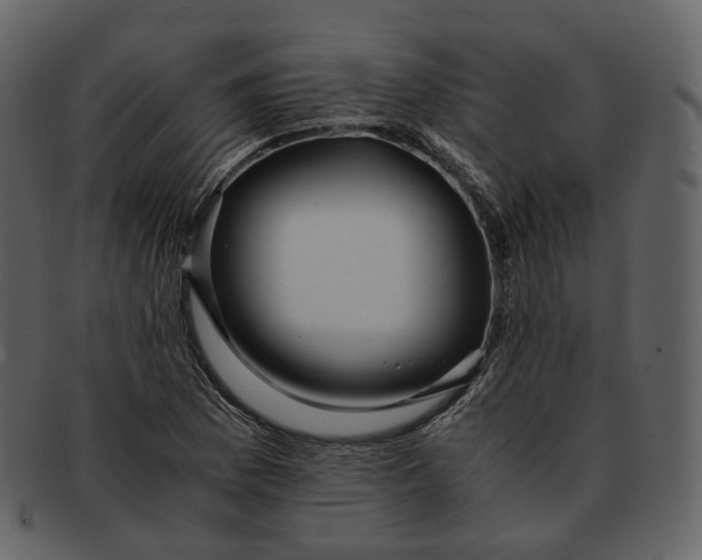 X0000092311169200710051233