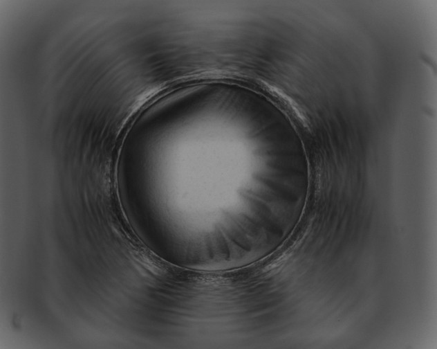 X0000092311170200710051233