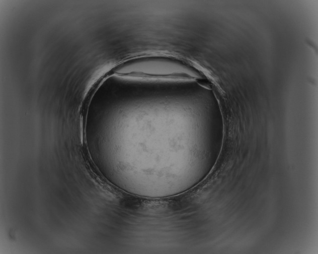 X0000092311171200710051233