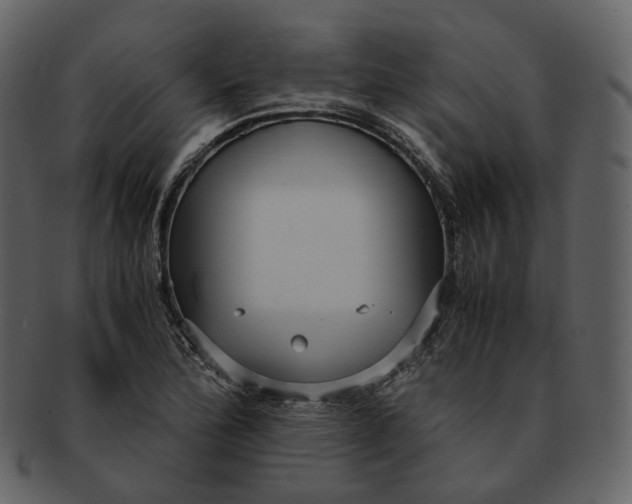 X0000092311172200710051233