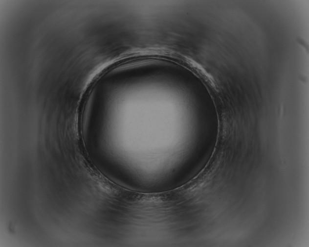 X0000092311174200710051233