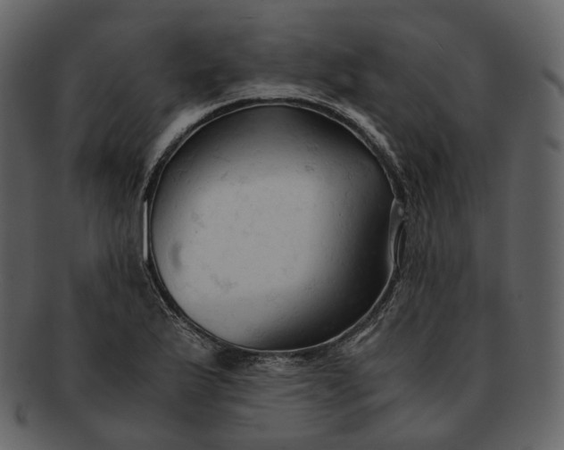 X0000092311175200710051233