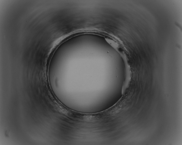 X0000092311176200710051233