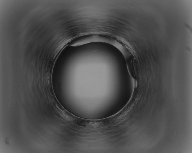 X0000092311177200710051233