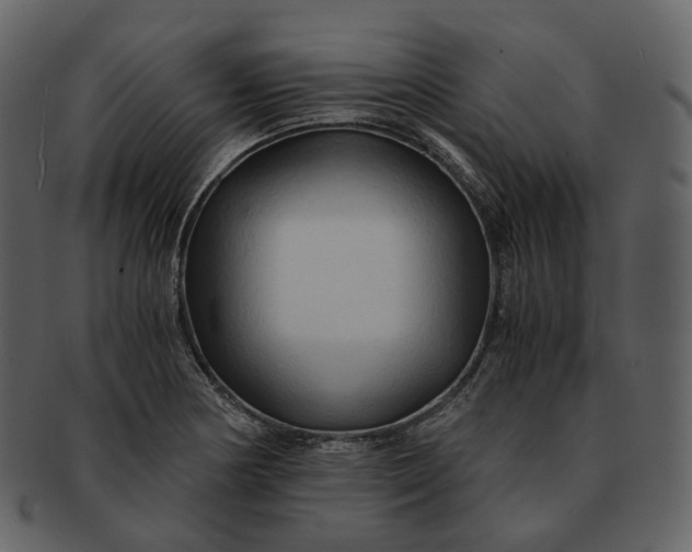X0000092311178200710051233