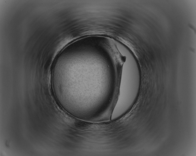 X0000092311179200710051233