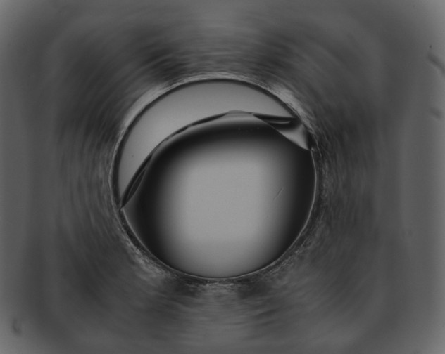 X0000092311181200710051233