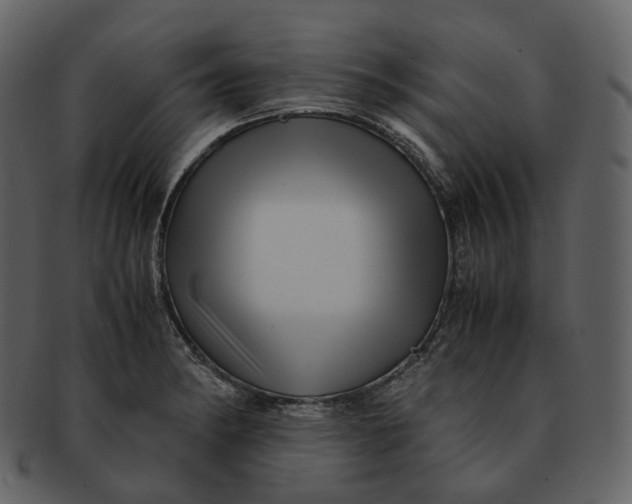 X0000092311182200710051233