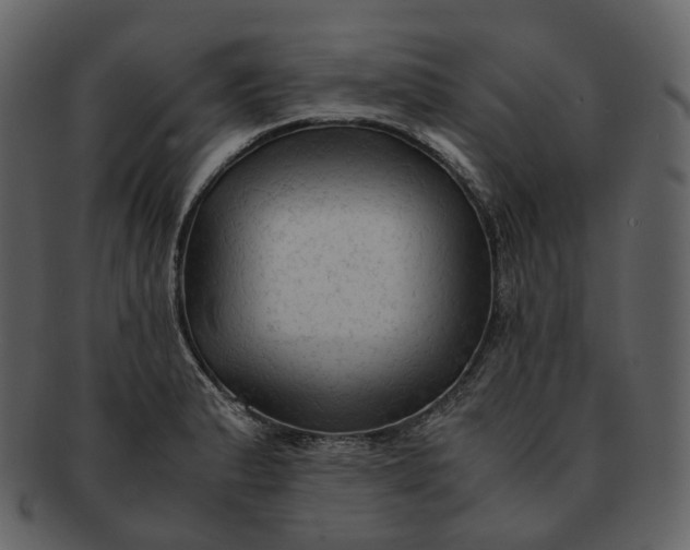 X0000092311183200710051233