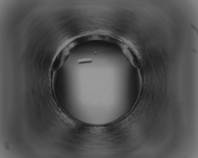 X0000092311184200710051233