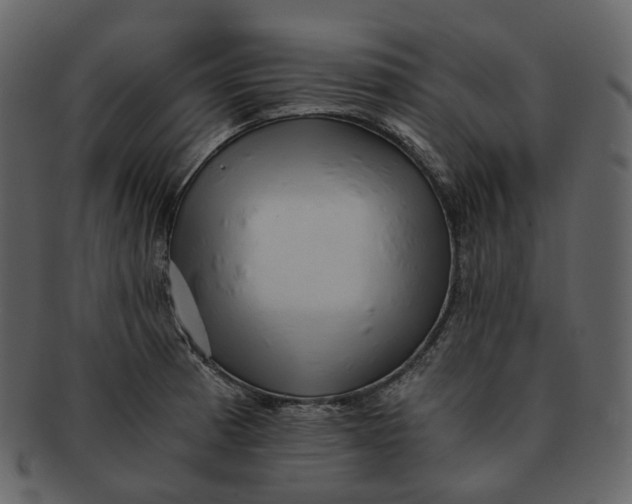 X0000092311185200710051233