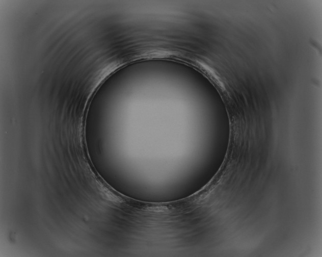 X0000092311186200710051233