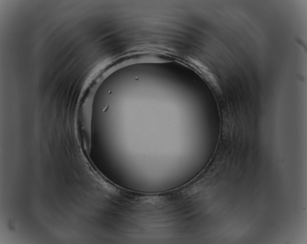 X0000092311188200710051233