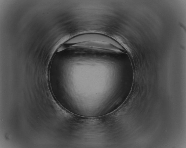 X0000092311189200710051233