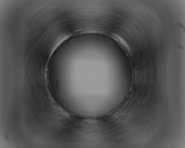 X0000092311190200710051233