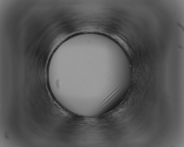 X0000092311191200710051233