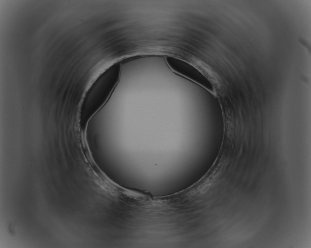 X0000092311192200710051233