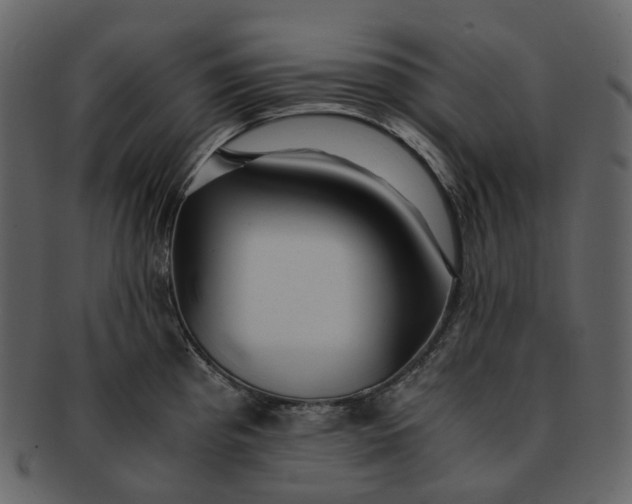 X0000092311193200710051233