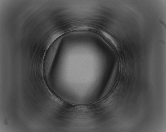 X0000092311194200710051233