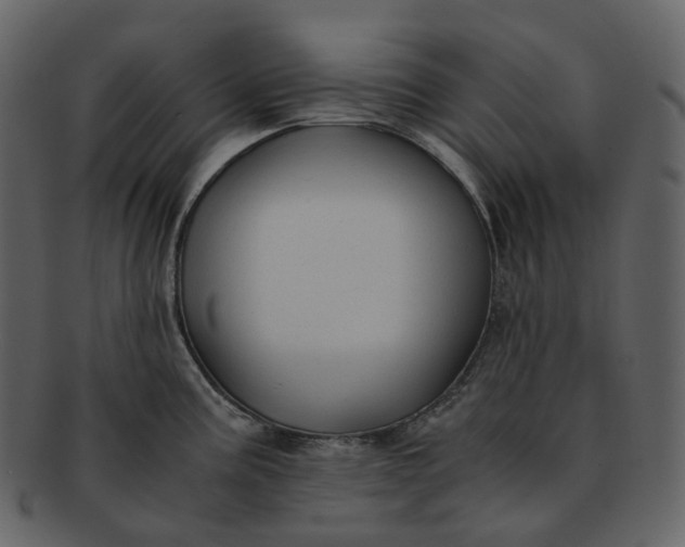 X0000092311195200710051233