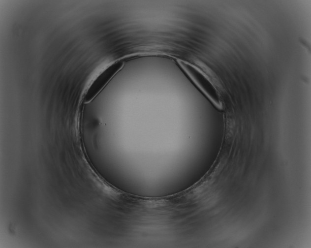 X0000092311196200710051233